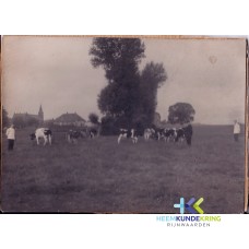 uit Coll. J.Peet . Coll HKR (14)